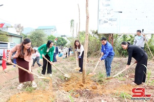 'Yên Châu phát động Tết trồng cây “Đời đời nhớ ơn Bác Hồ”