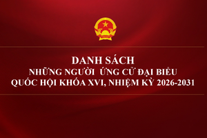 'DANH SÁCH NHỮNG NGƯỜI ỨNG CỬ ĐẠI BIỂU QUỐC HỘI KHÓA XVI, NHIỆM KỲ 2026-2031
