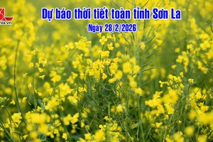 'Dự báo thời tiết toàn tỉnh Sơn La ngày 28/02/2026