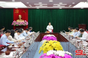 Họp Ban Chỉ đạo công tác bầu cử tỉnh