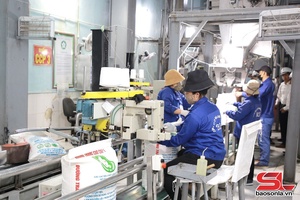 'Động lực bứt phá ngay từ đầu năm