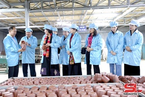 Đồng chí Thống đốc Ngân hàng Nhà nước Việt Nam thăm mô hình phát triển du lịch từ chè shan tuyết cổ thụ Tà Xùa