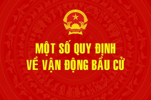 'Một số quy định về vận động bầu cử