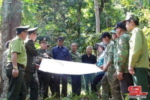 Giữ màu xanh của những cánh rừng