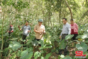 'Mường Chiên - Khơi dậy tiềm năng phát triển