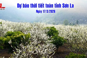 'Dự báo thời tiết toàn tỉnh Sơn La ngày 17/3/2026