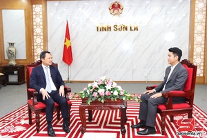 Sơn La tổ chức thành công cuộc bầu cử đại biểu Quốc hội khoá XVI và đại biểu HĐND các cấp nhiệm kỳ 2026 - 2031