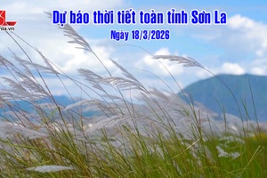 'Dự báo thời tiết toàn tỉnh Sơn La ngày 18/03/2026