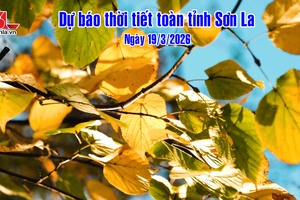'Dự báo thời tiết toàn tỉnh Sơn La ngày 19/03/2026
