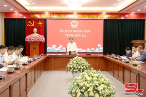 Tập trung thực hiện các dự án sắp xếp dân cư và khắc phục hậu quả thiên tai