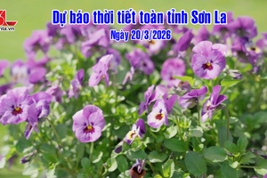 'Dự báo thời tiết toàn tỉnh Sơn La ngày 20/03/2026