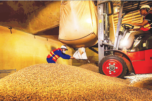 Chuyển đổi xuất khẩu theo xu hướng tiêu dùng xanh
