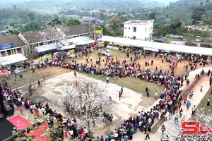 'Ấn tượng Lễ hội hoa ban Tô Múa