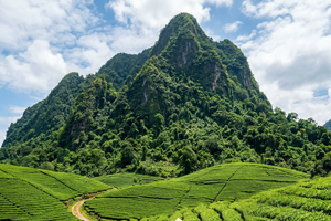 Truyện podcast: Dưới chân núi Sàn Phàng