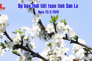 'Dự báo thời tiết toàn tỉnh Sơn La ngày 23/03/2026