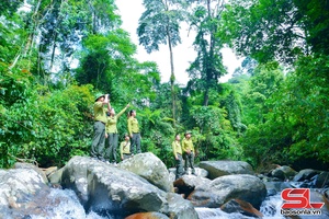 'EUDR - Thách thức và cơ hội cho cà phê Sơn La