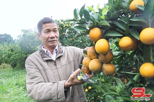 'Chất lượng, an toàn - trọng tâm sản xuất nông nghiệp