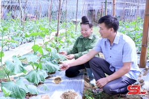 'Đẩy mạnh phát triển nông nghiệp theo hướng hàng hóa