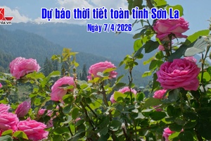 'Dự báo thời tiết toàn tỉnh Sơn La ngày 7/4/2026