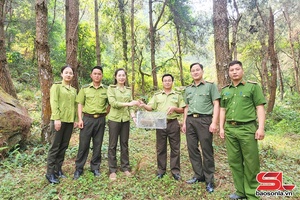 'Thả cá thể cu li nhỏ quý hiếm về môi trường sống tự nhiên