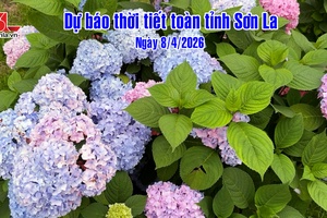 'Dự báo thời tiết toàn tỉnh Sơn La ngày 8/4/2026