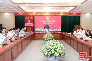 Tăng cường quản lý, sử dụng đất có nguồn gốc từ nông, lâm trường và đất do các công ty nông, lâm nghiệp đang quản lý, sử dụng