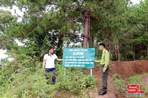 Giữ rừng mùa khô - Phòng là chính, chữa cháy kịp thời