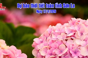 'Dự báo thời tiết toàn tỉnh Sơn La ngày 17/4/2026
