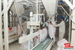 'Thúc đẩy và làm mới các động lực tăng trưởng