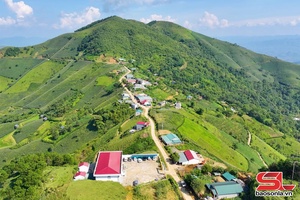 'Kim Bon ngày mới