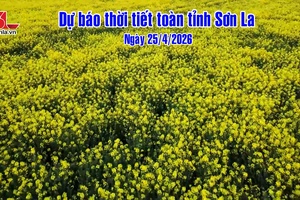 'Dự báo thời tiết toàn tỉnh Sơn La ngày 25/4/2026