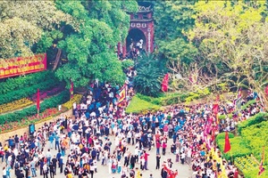 Như cây một cội, như con một nhà
