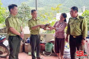 'Tiếp nhận và bảo vệ động vật hoang dã tại xã Mường Cơi