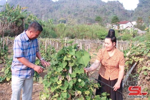 'Đồng hành cùng phụ nữ làm chủ kinh tế, làm chủ cuộc sống