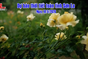 'Dự báo thời tiết toàn tỉnh Sơn La ngày 18/05/2026