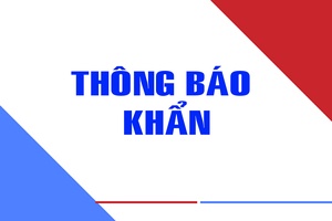 'Hạn chế phương tiện trên 20 tấn qua đoạn KM248 Quốc lộ 279 do sạt lở