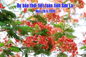 'Dự báo thời tiết toàn tỉnh Sơn La ngày 20/5/2026