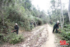 'Ngăn chặn tình trạng lấn chiếm đất rừng