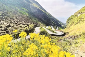 Du lịch Việt Nam trên hành trình “xanh hóa”
