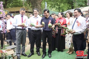 Khai mạc Ngày hội xoài Yên Châu năm 2026