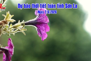 'Dự báo thời tiết toàn tỉnh Sơn La ngày 2/6/2026