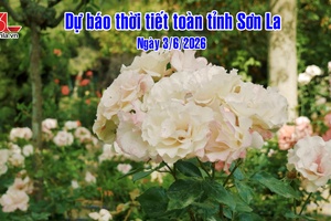 'Dự báo thời tiết toàn tỉnh Sơn La ngày 3/6/2026