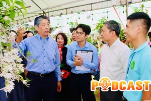 Bản tin Podcast ngày 7/6/2026