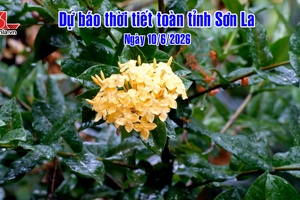 'Dự báo thời tiết toàn tỉnh Sơn La ngày 10/6/2026