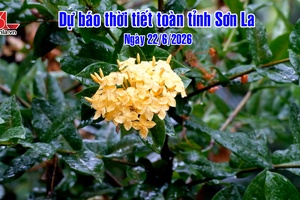 'Dự báo thời tiết toàn tỉnh Sơn La ngày 22/6/2026

