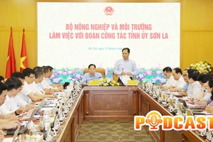 Bản tin Podcast ngày 23/6/2026