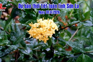 'Dự báo thời tiết toàn tỉnh Sơn La ngày 30/06/2026