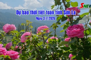 'Dự báo thời tiết toàn tỉnh Sơn La ngày 3/7/2026