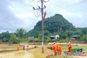 'Công ty Điện lực Sơn La nhanh chóng khôi phục cấp điện sau mưa lũ