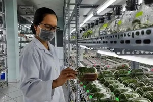 'Điều kiện thành lập khu nông nghiệp ứng dụng công nghệ cao